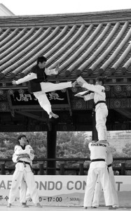 Korea_Namsan_Taekwondo_Demonstration_2